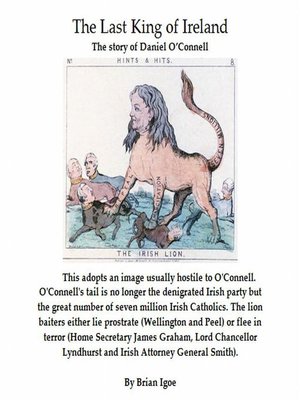 cover image of The Last King of Ireland